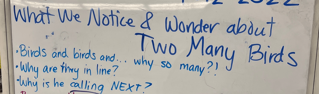 Birds and birds and... why so many?!
Why are they in line?
Why is he calling NEXT?