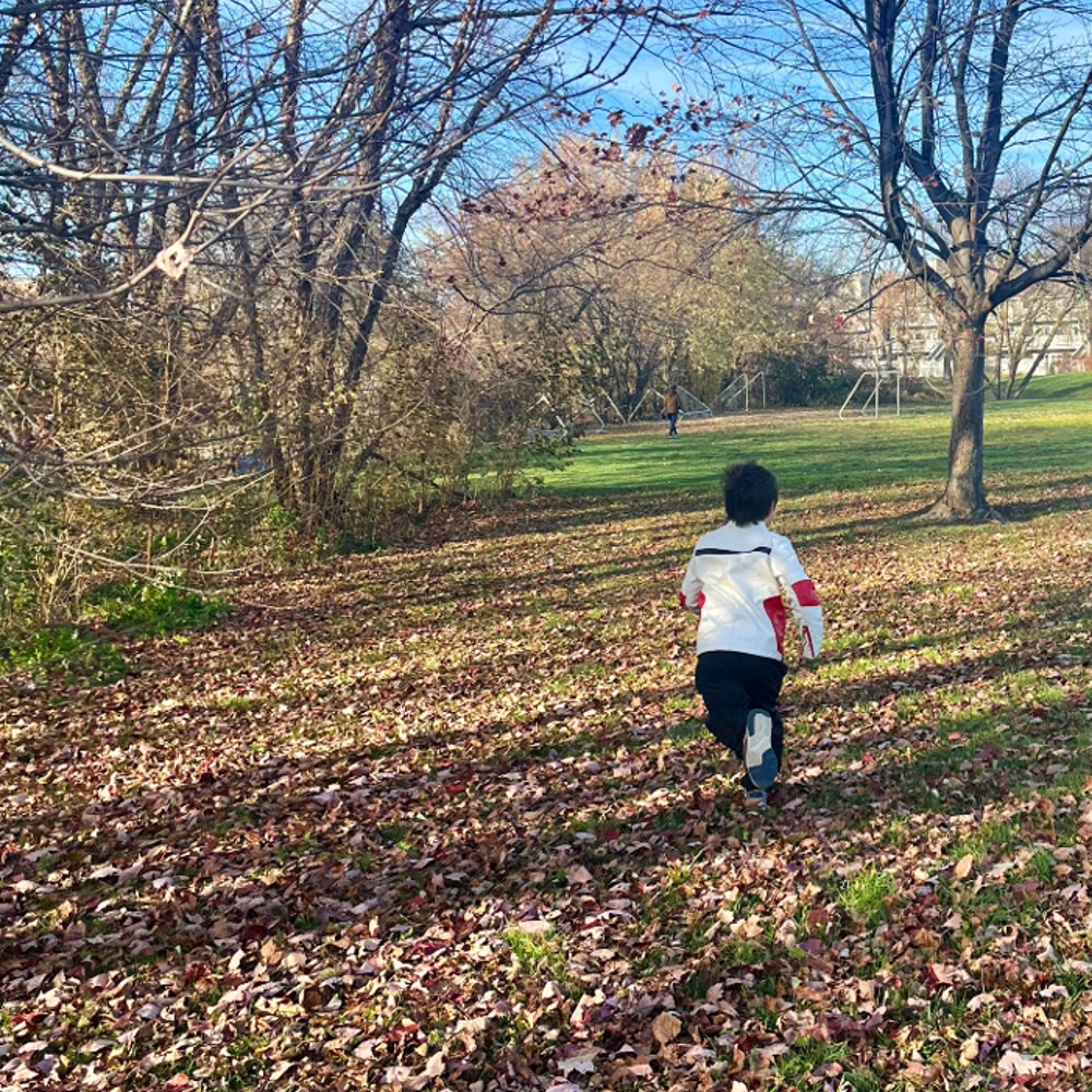 N running through the leaves